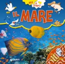 Il mare. Ediz. a colori libro di Porciatti Gianna