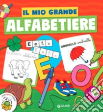 Il mio grande alfabetiere. Ediz. a colori libro