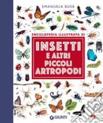 Insetti e altri piccoli artropodi libro di Busà Emanuela