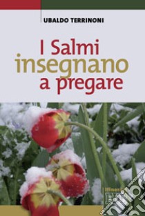 I Salmi insegnano a pregare libro di Terrinoni Ubaldo