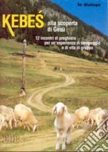 Kebes alla scoperta di Gesù. 12 incontri di preghiera per una esperienza di campeggio e di vita di gruppo libro di Azione Cattolica della diocesi di Milano (cur.)