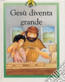 Gesù diventa grande. Racconti su Gesù raccontati in maniera speciale per i più piccoli libro di Rock Lois