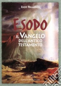 Esodo. Il vangelo dell'Antico Testamento libro di Raimondi Enzo