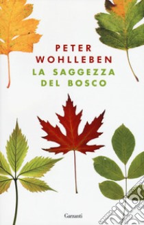 La saggezza del bosco libro di Wohlleben Peter