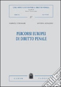 Percorsi europei di diritto penale libro di Fornasari Gabriele - Menghini Antonia