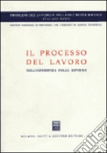 Il processo del lavoro nell'esperienza della riforma libro