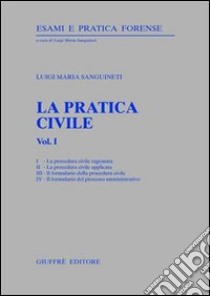La pratica civile. Vol. 1 libro di Sanguineti Luigi Maria