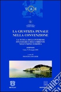 La giustizia penale nella convenzione. La tutela degli interessi finanziari e dell'ambiente nell'Unione Europea. Atti del Simposio (Como, 9-10 maggio 2003) libro di Ruggieri F. (cur.)