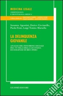 La delinquenza giovanile. Analisi del fenomeno sociale fra tutela della giustizia ed esigenze di recupero libro