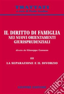 Il diritto di famiglia nei nuovi orientamenti giurisprudenziali. Vol. 3: La separazione e il divorzio libro di Cassano G. (cur.)