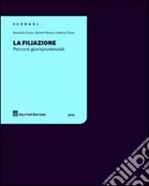 La filiazione. Percorsi giurisprudenziali libro di Cerato Maristella; Romeo Michele; Turlon Federica