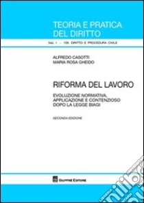 Riforma del lavoro. Evoluzione normativa, applicazione e contenzioso dopo la legge Biagi libro di Casotti Alfredo; Gheido M. Rosa