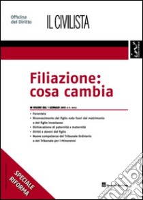 Filiazione. Cosa cambia libro di Rossi Rita