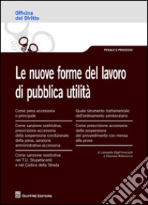 Le nuove forme del lavoro di pubblica utilità  libro di Antonuccio Eleonora; Degl'Innocenti Leonardo