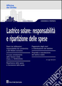 Lastrico solare. Responsabilità e ripartizione delle spese libro di Salciarini Luigi