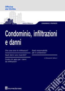 Condominio, infiltrazioni e danni libro di Gallucci Alessandro