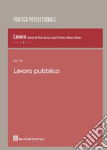 Lavoro pubblico libro