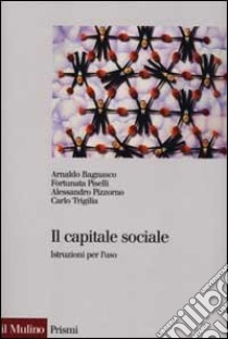 Il capitale sociale. Istruzione per l'uso libro