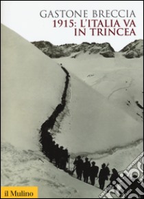 1915: l'Italia va in trincea. Ediz. illustrata libro di Breccia Gastone