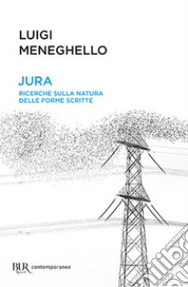 Jura: ricerche sulla natura delle forme scritte libro di Meneghello Luigi; Salvadori D. (cur.)