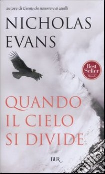 Quando il cielo si divide libro di Evans Nicholas