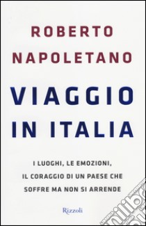 Viaggio in Italia. I luoghi, le emozioni, il coraggio di un Paese che soffre ma non si arrende libro di Napoletano Roberto