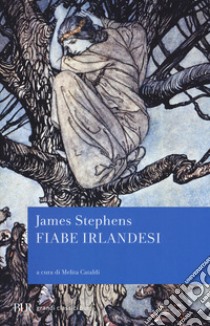 Fiabe irlandesi libro di Stephens James; Cataldi M. (cur.)