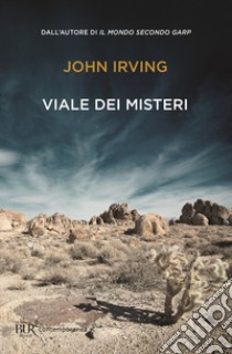 Viale dei misteri libro di Irving John