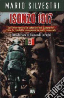 Isonzo 1917 libro di Silvestri Mario