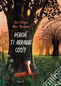 Perché ti arrabbi così? Ediz. a colori libro di Tellegen Toon; Boutavant Marc