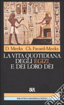 La vita quotidiana degli egizi e dei loro dèi libro di Meeks Dimitri - Favard Meeks Christine