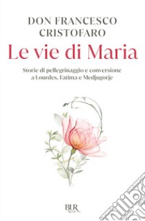 Le vie di Maria. Storie di pellegrinaggio e conversione a Lourdes, Fatima e Medjugorje libro di Cristofaro Francesco (don)