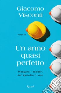 Un anno quasi perfetto libro di Visconti Giacomo