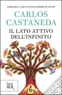 Il lato attivo dell'infinito libro di Castaneda Carlos