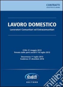 Lavoro domestico. Lavoratori comunitari ed extracomunitari libro