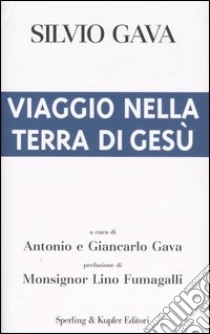 Viaggio nella terra di Gesù libro di Gava Silvio