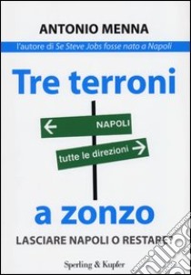 Tre terroni a zonzo. Lasciare Napoli o restare? libro di Menna Antonio