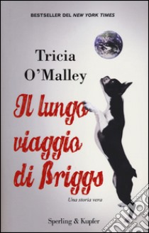 Il lungo viaggio di Briggs libro di O'Malley Tricia