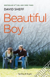 Beautiful boy. Ediz. italiana libro di Sheff David