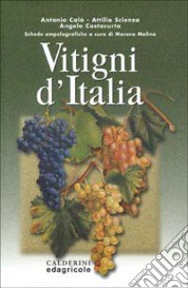 Vitigni d'Italia libro di Calò Antonio - Scienza Attilio - Costacurta Angelo