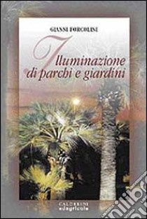 Illuminazione di parchi e giardini libro di Forcolini Gianni