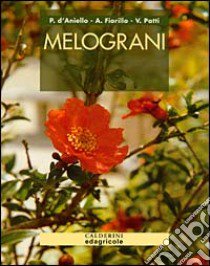 Melograni libro di D'Aniello Pierangela; Fiorillo Anita; Patti Valentina