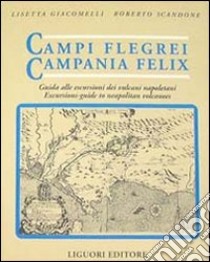 Campi Flegrei. Campania Felix. Il golfo di Napoli tra storia ed eruzioni. Guida alle escursioni dei vulcani napoletani libro di Giacomelli Lisetta; Scandone Roberto