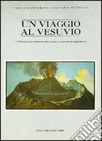 Un viaggio al Vesuvio. Il Vesuvio visto attraverso diari, lettere e resoconti di viaggiatori libro di Gasparini Paolo; Musella Silvana