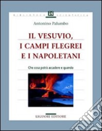 Il Vesuvio, i Campi Flegrei e i napoletani. Che cosa potrà accadere e quando libro di Palumbo Antonino