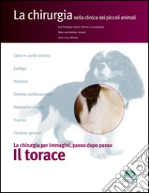 Il torace. La chirurgia per immagini, passo dopo passo libro di Rodríguez Gómez José; Martínez Sañudo M. José; Graus Morales Jaime