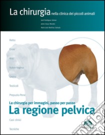 La regione pelvica. La chirurgia per immagini, passo dopo passo libro di Rodríguez Gómez José; Martínez Sañudo M. José; Graus Morales Jaime