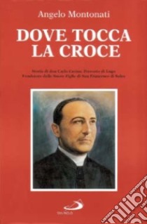 Dove tocca la croce. Storia di don Carlo Cavina, prevosto di Lugo. Fondatore delle suore Figlie di San Francesco di Sales libro di Montonati Angelo