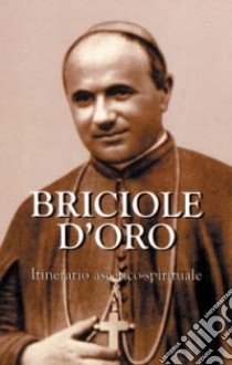 Briciole d'oro. Itinerario ascetico-spirituale. Un anno con gli insegnamenti di san Giuseppe Marello fondatore degli Oblati di san Giuseppe libro di Rainero Angelo