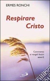 Respirare Cristo. Commenti ai Vangeli festivi. Anno C libro di Ronchi Ermes